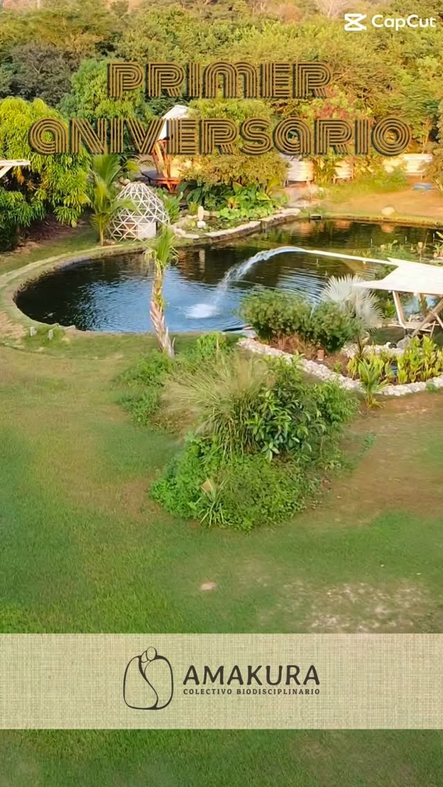 Invitacion aniversario